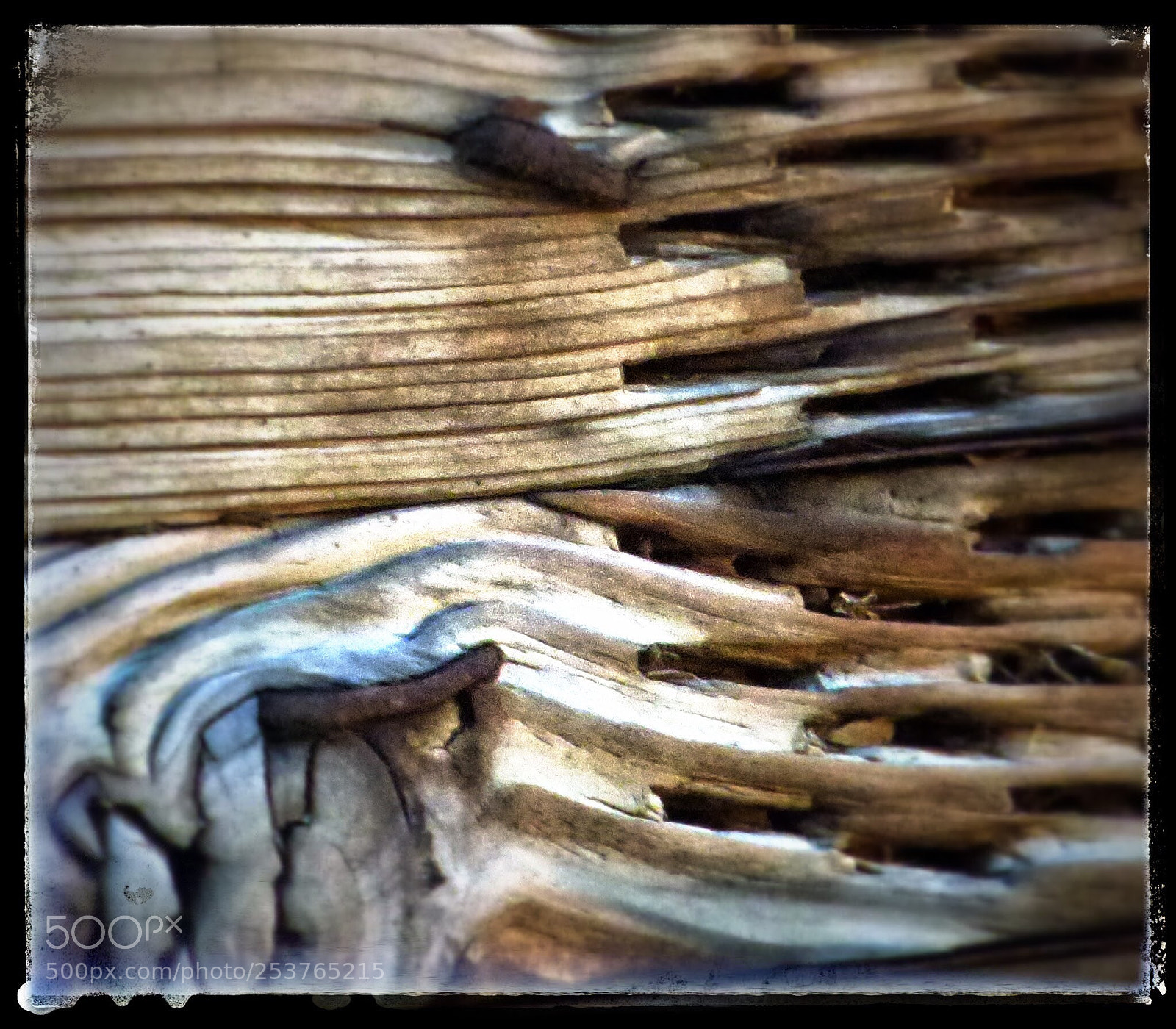 Panasonic DMC-FZ72 sample photo. Wood
madera photography