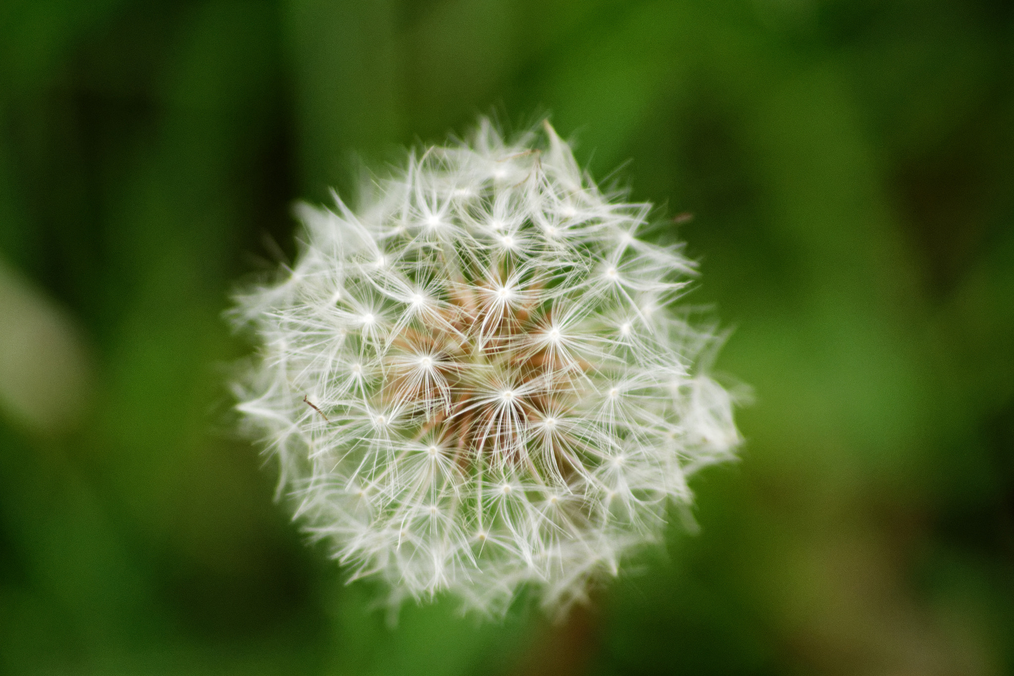 Canon EOS 7D sample photo. Dxo photography