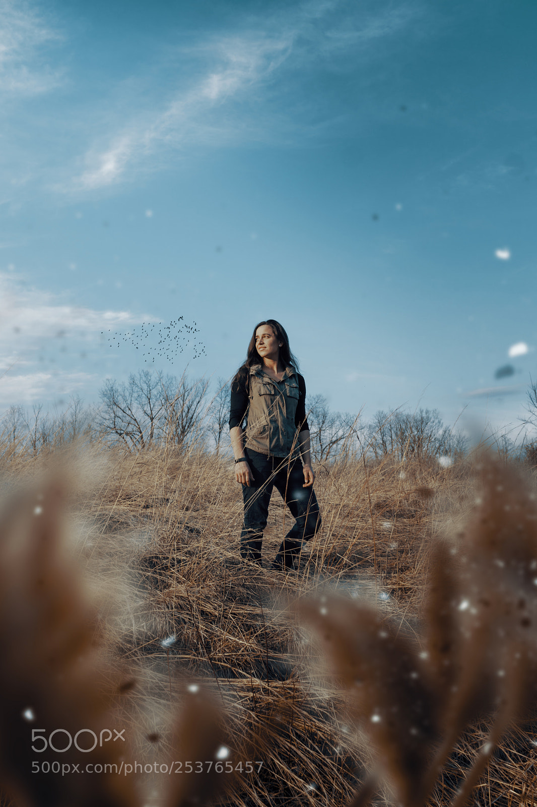 Sony a6300 sample photo. Windy walk photography