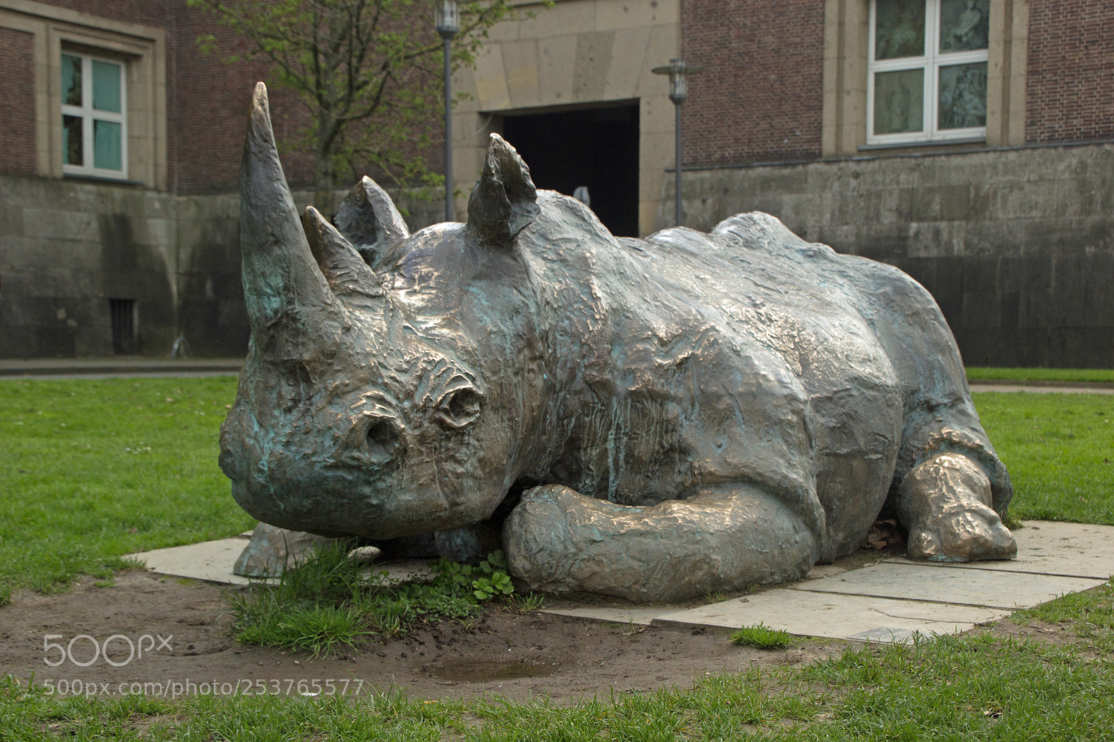 Canon EOS 60D sample photo. Metal beast photography