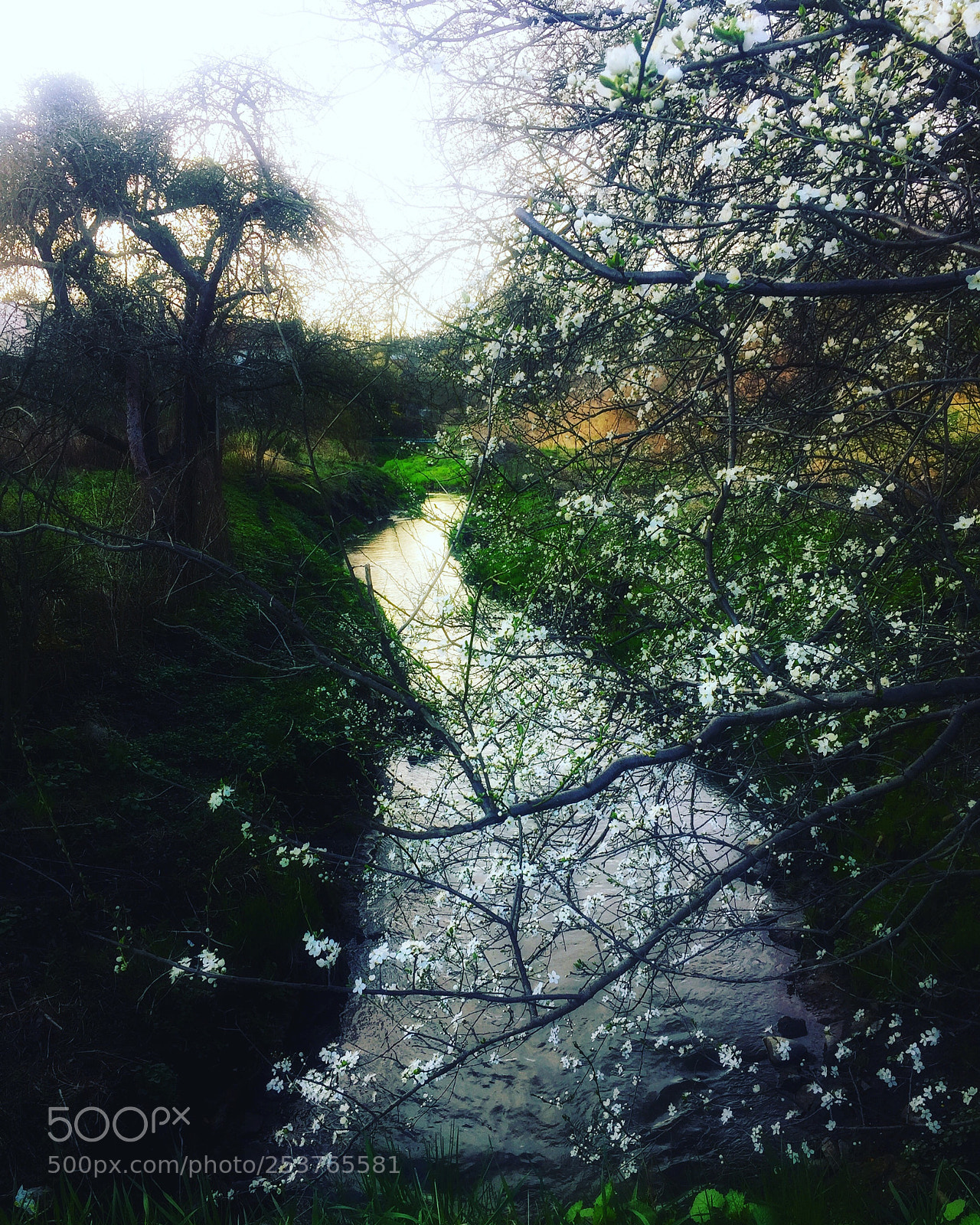 Apple iPhone 6 sample photo. River photography