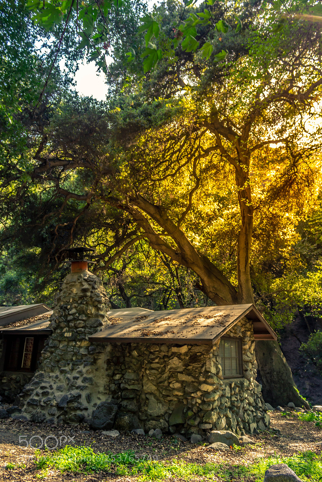 Canon EOS 600D (Rebel EOS T3i / EOS Kiss X5) sample photo. Cottage in the woods photography
