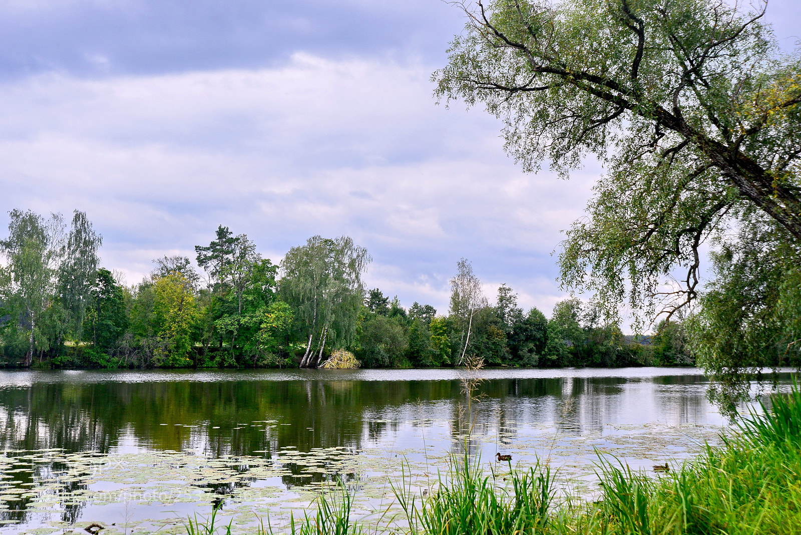 Nikon D600 sample photo. The old channel of photography