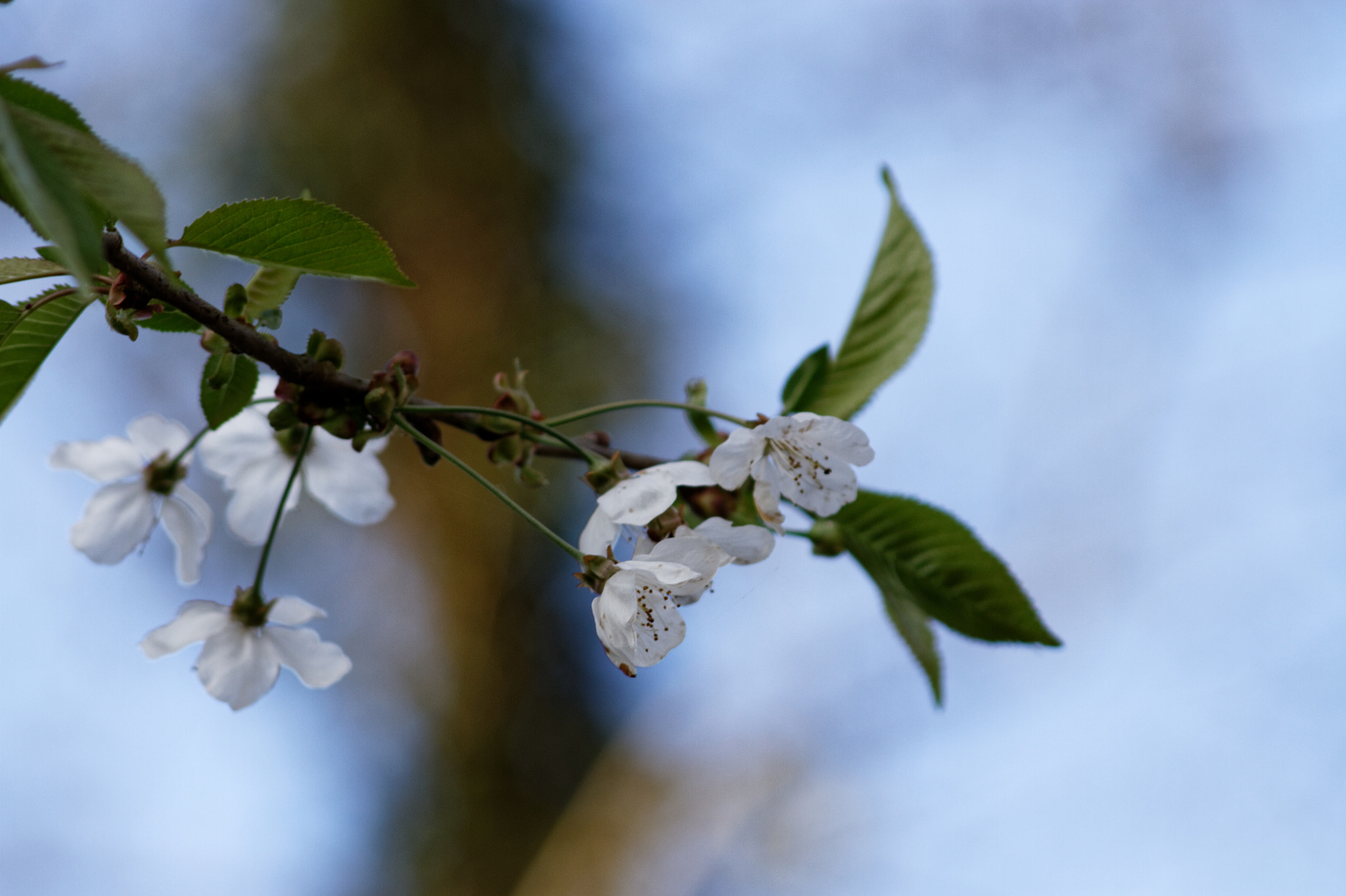 Canon EOS 7D sample photo. Dxo photography