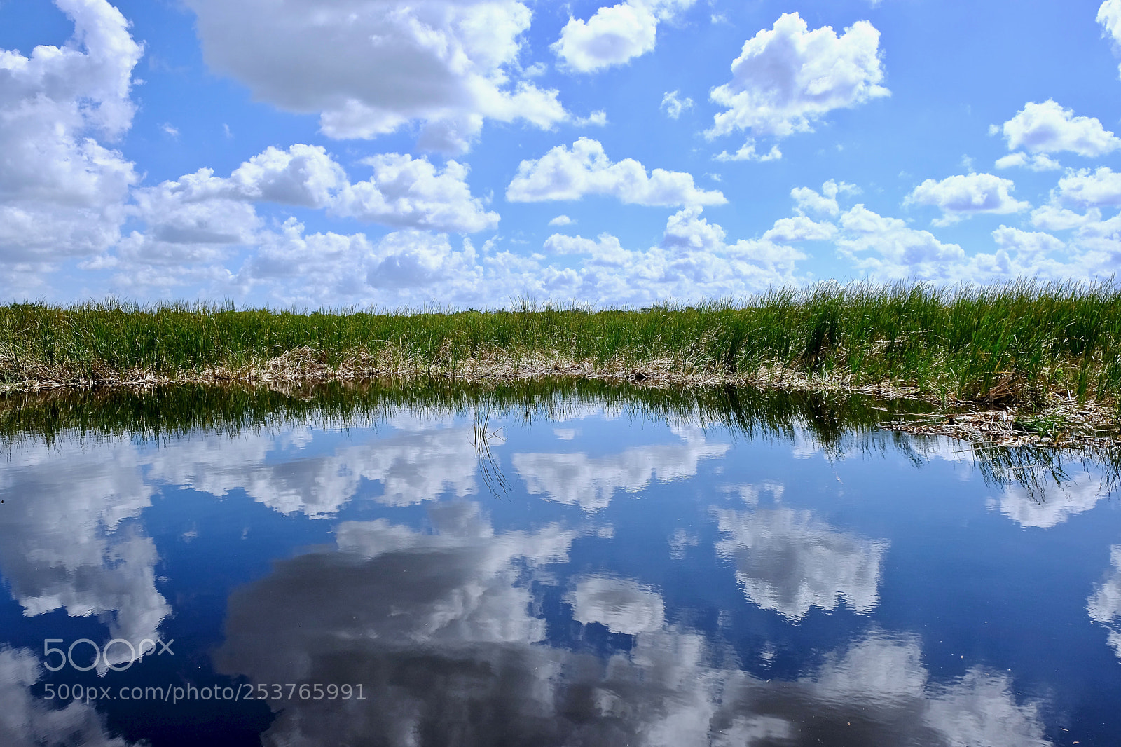 Fujifilm X-T2 sample photo. Everglades photography