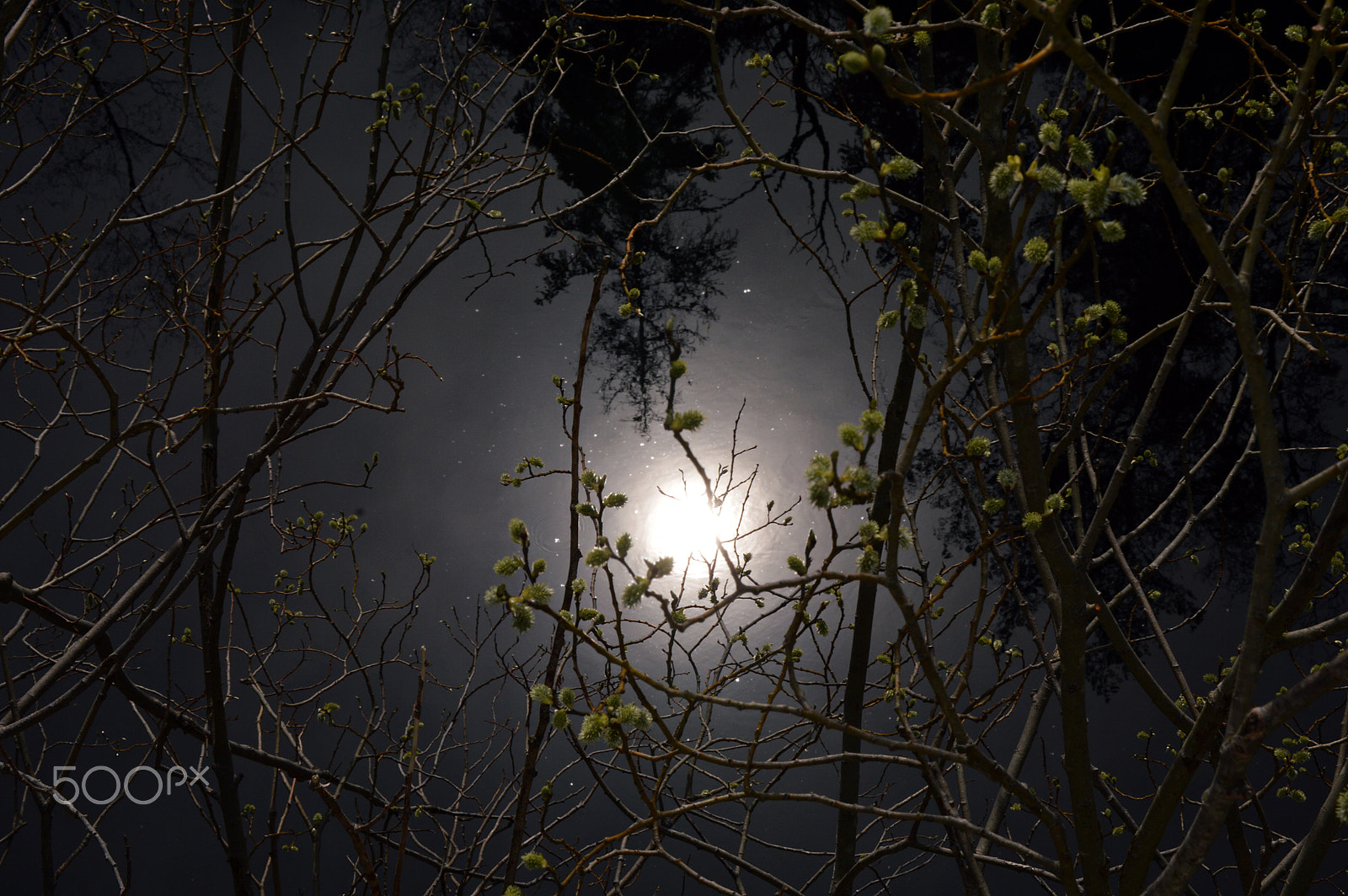 Nikon D3200 sample photo. Darkness photography