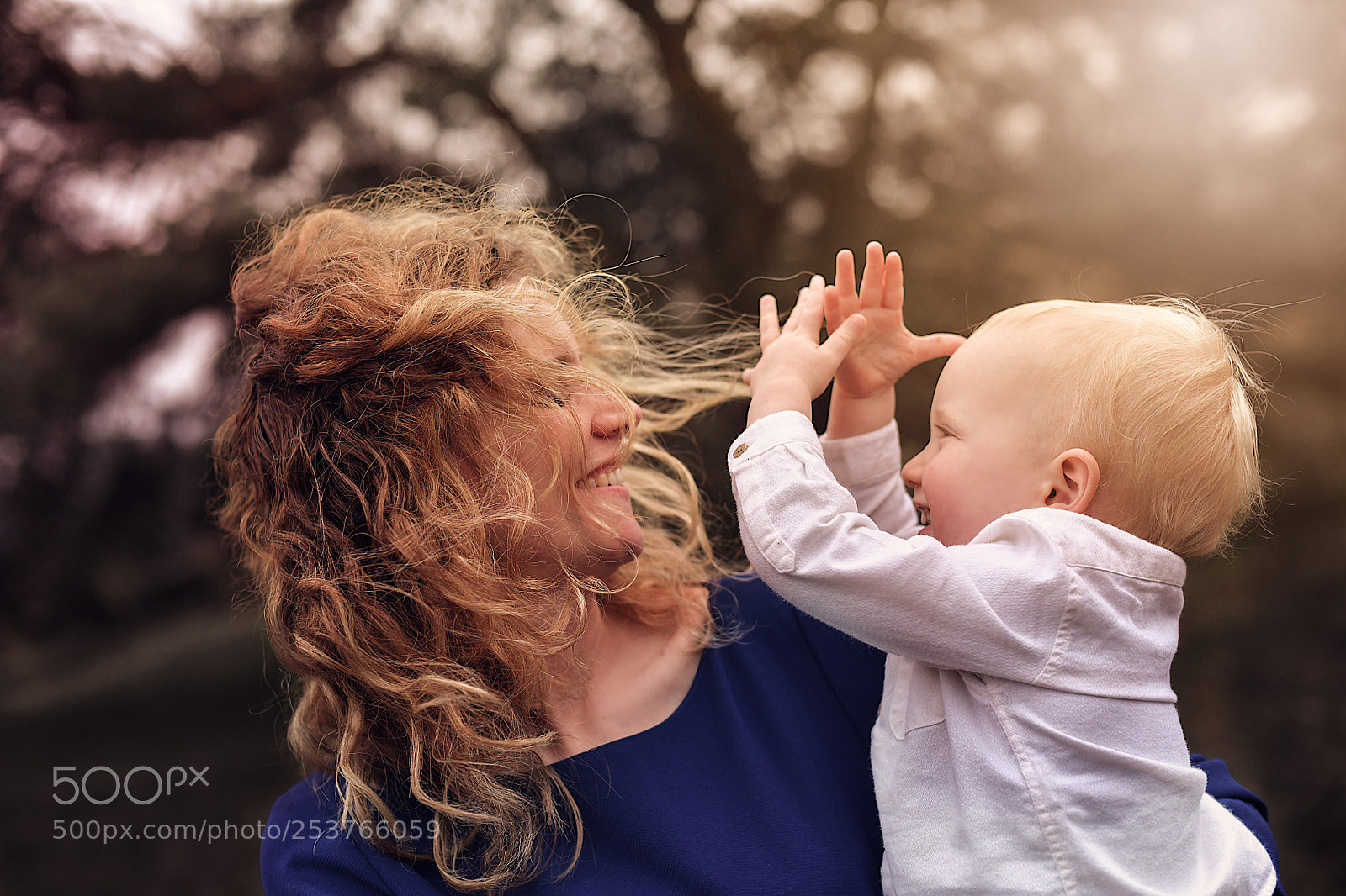 Nikon D850 sample photo. Connect photography