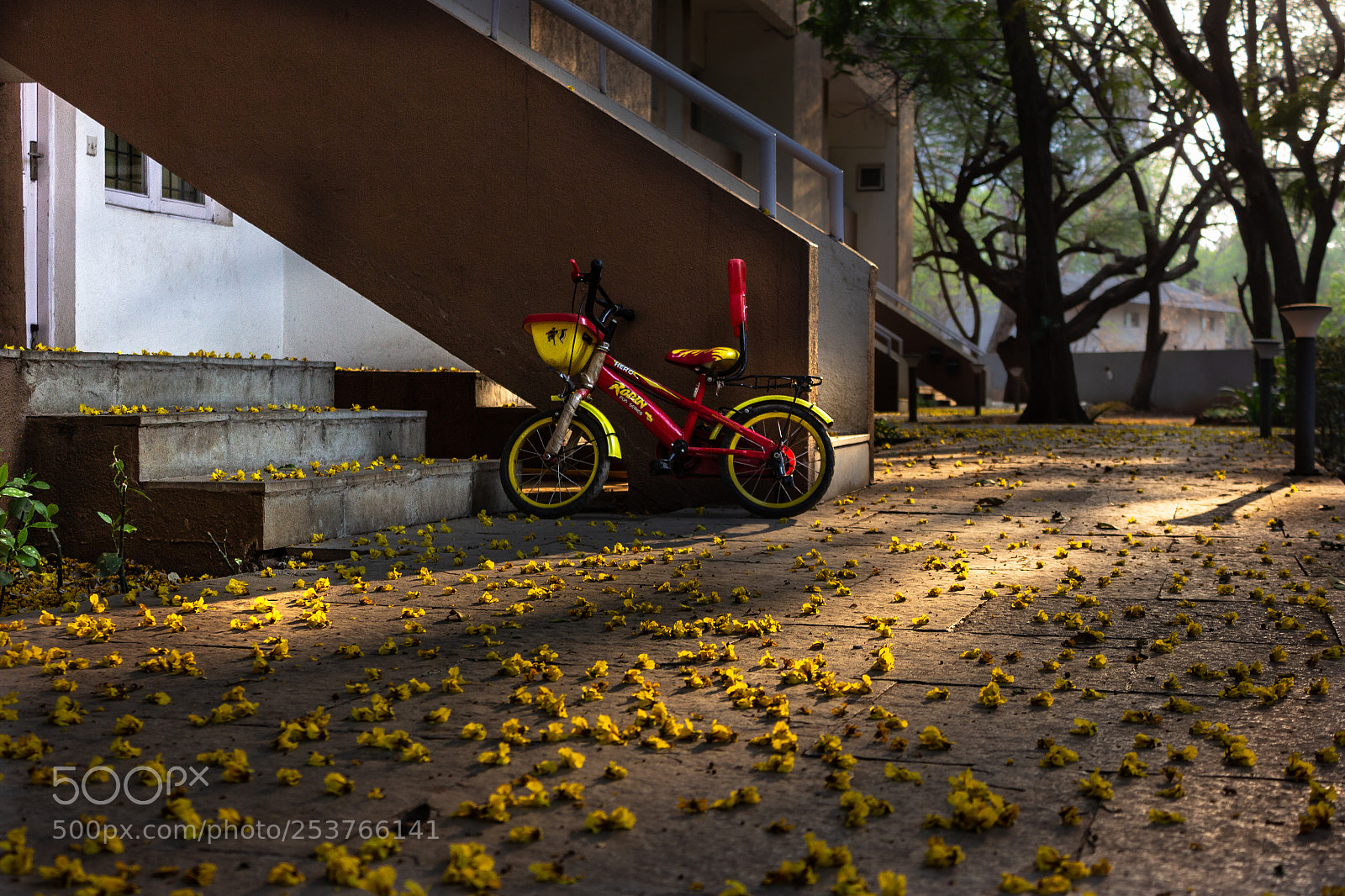 Canon EOS 600D (Rebel EOS T3i / EOS Kiss X5) sample photo. The bicycle photography