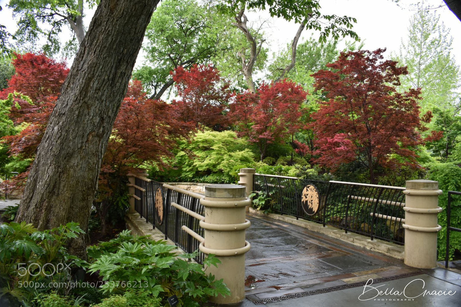 Nikon D3400 sample photo. 20180413_190553-01.jpg photography