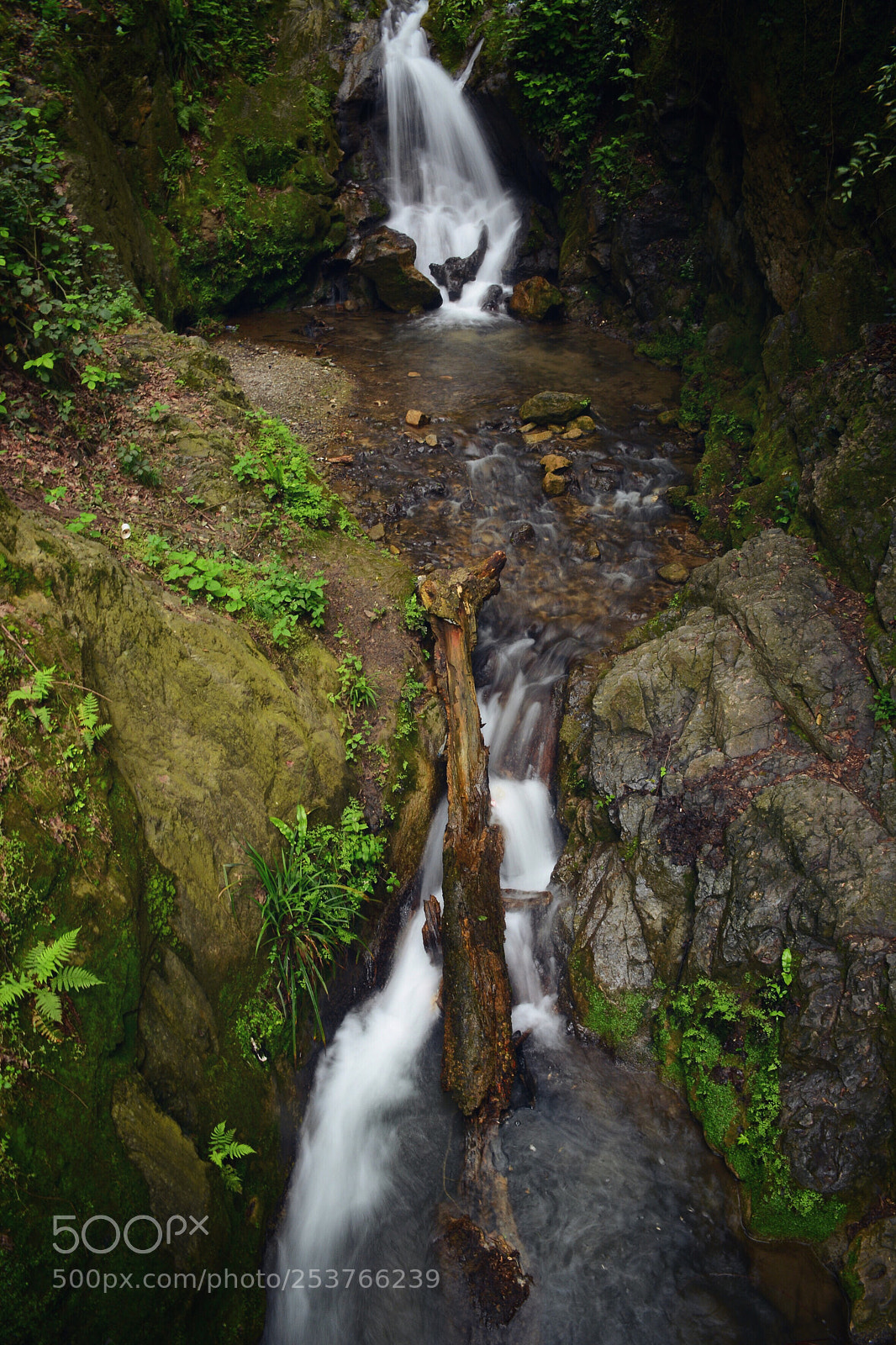 Nikon D7100 sample photo. Heaven like photography