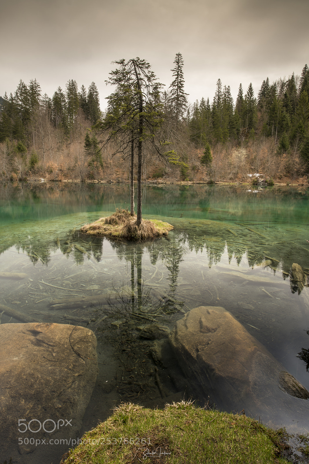 Nikon D850 sample photo. Crestasee photography