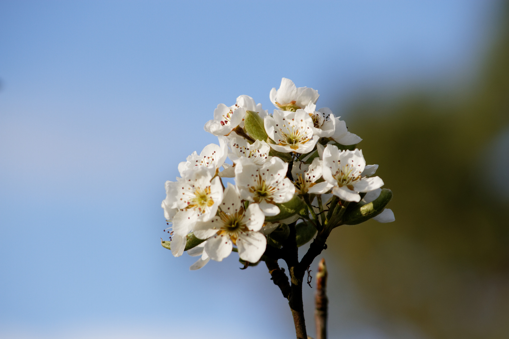 Canon EOS 7D sample photo. Dxo photography