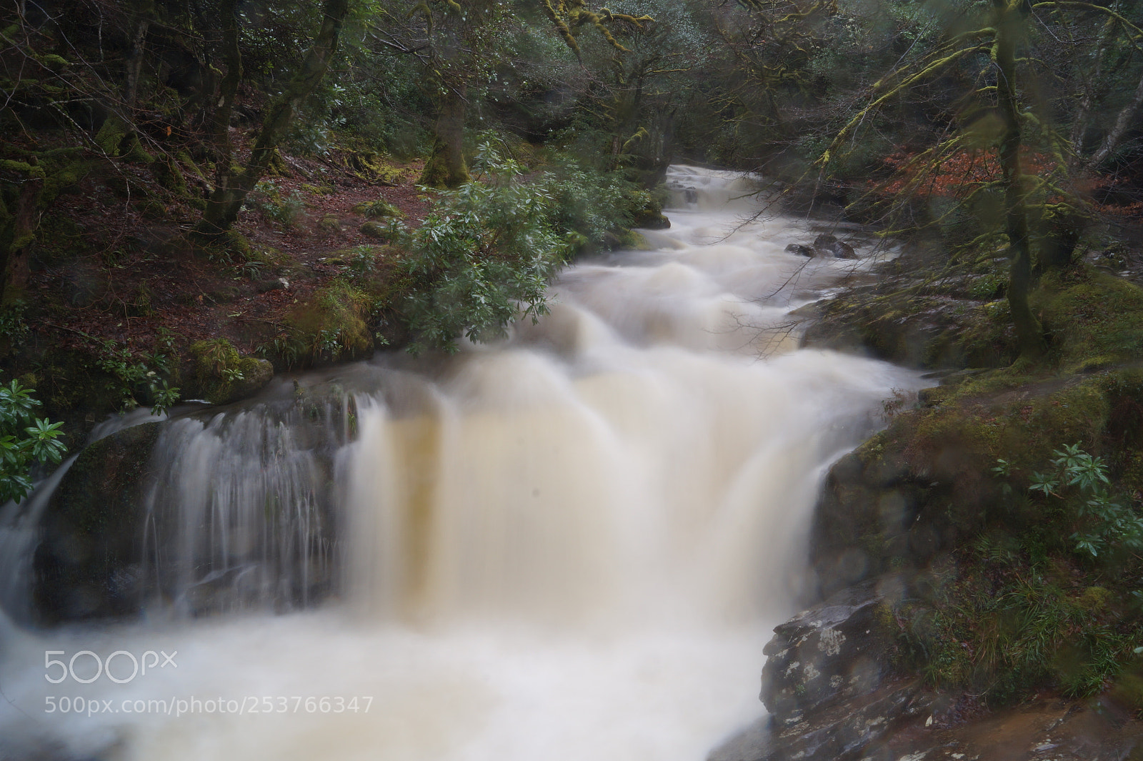 Sony SLT-A58 sample photo. Waterfall photography