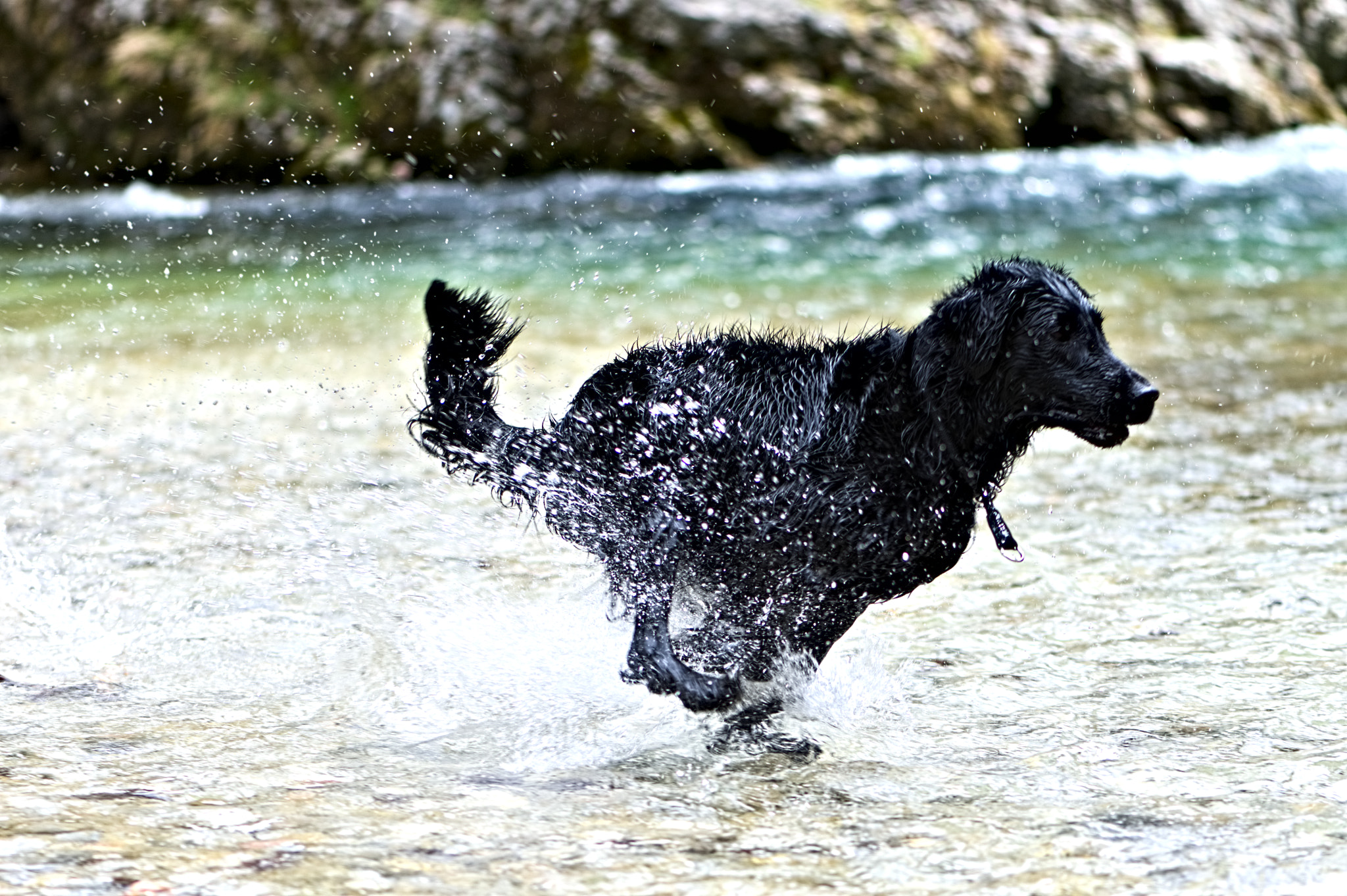 Nikon AF-S Micro-Nikkor 105mm F2.8G IF-ED VR sample photo. Fun photography