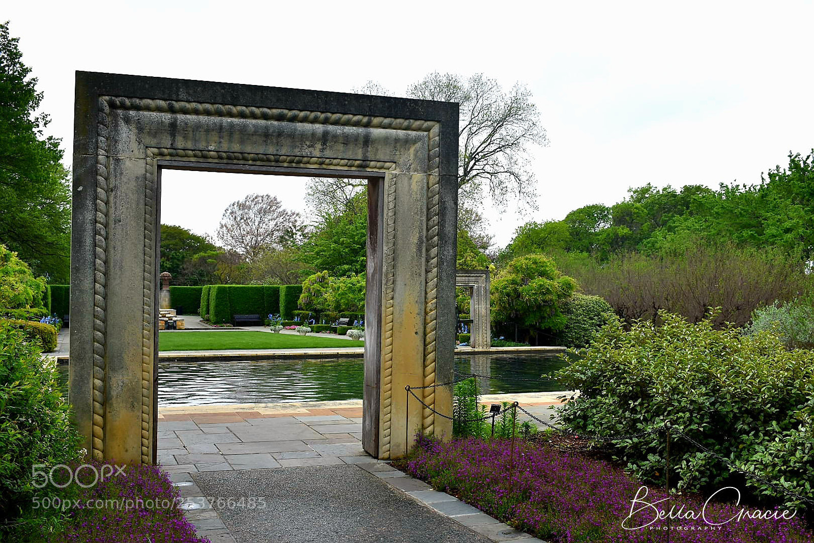 Nikon D3400 sample photo. 20180413_224530-01.jpg photography