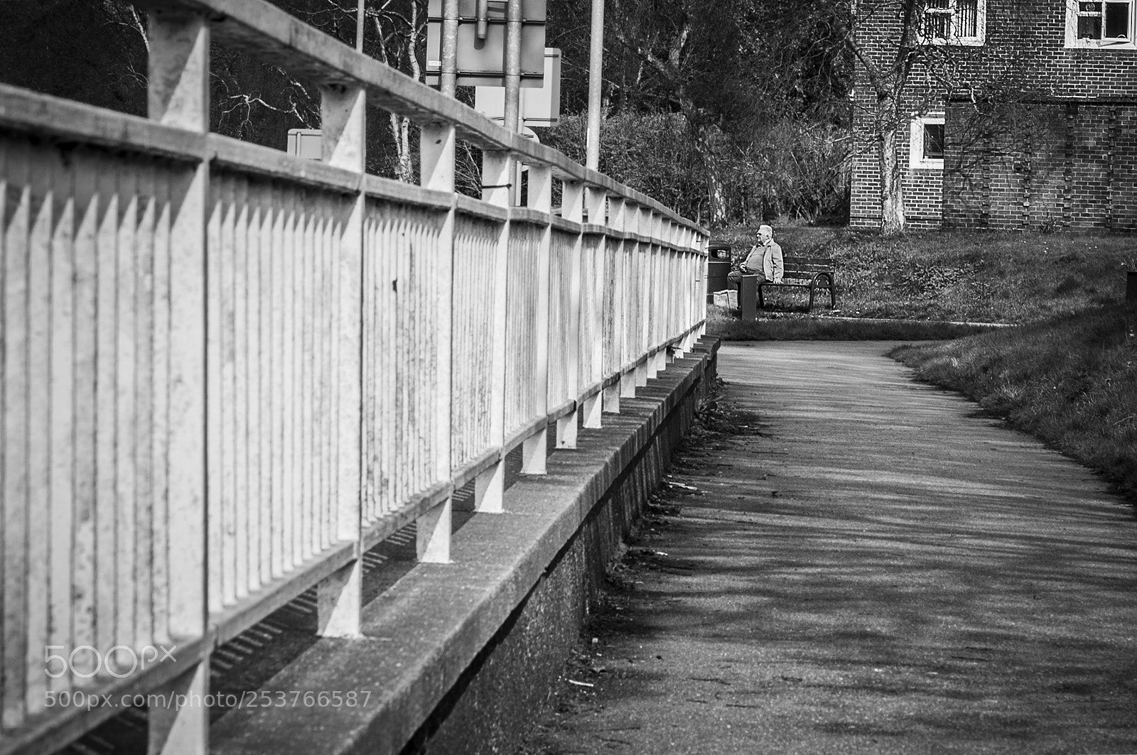 Nikon D3200 sample photo. Bench photography