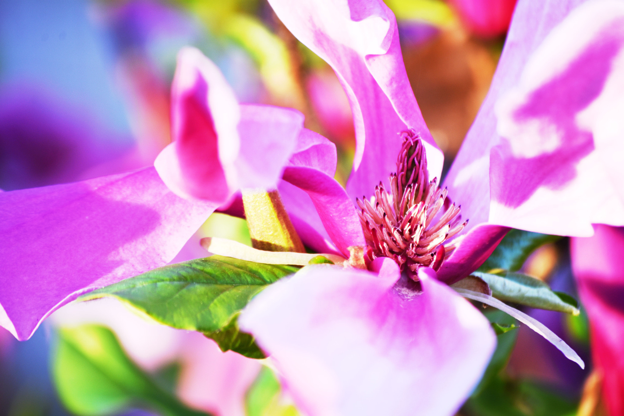 Nikon D7200 sample photo