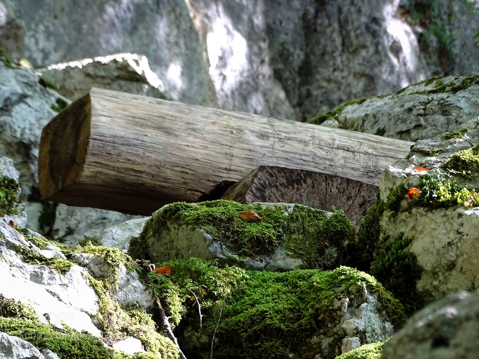 Sony Cyber-shot DSC-HX400V sample photo. Bench photography