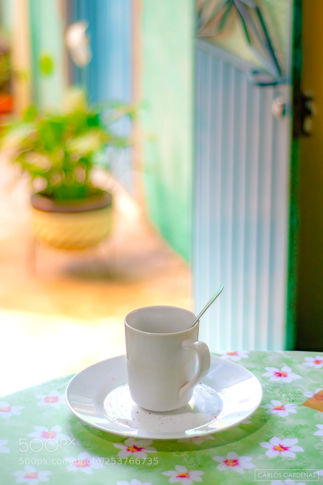 Nikon D7100 sample photo. After breakfast photography