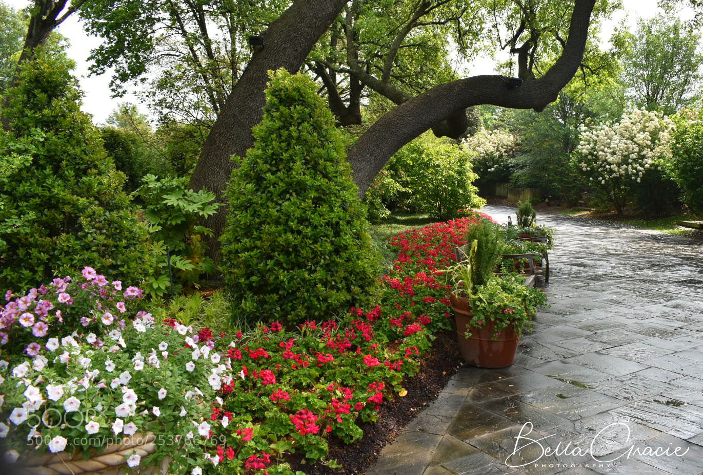 Nikon D3400 sample photo. 20180414_230408.jpg photography