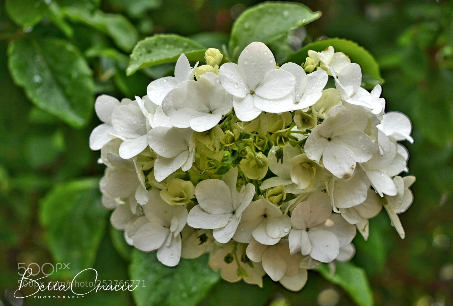 Nikon D3400 sample photo. 20180414_230424.jpg photography