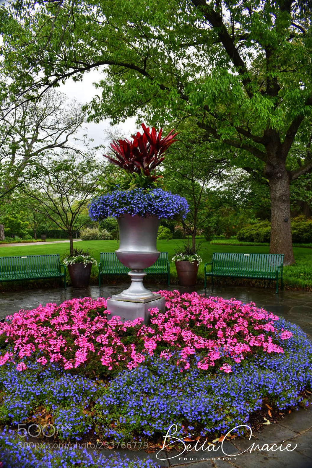 Nikon D3400 sample photo. 20180414_230450.jpg photography