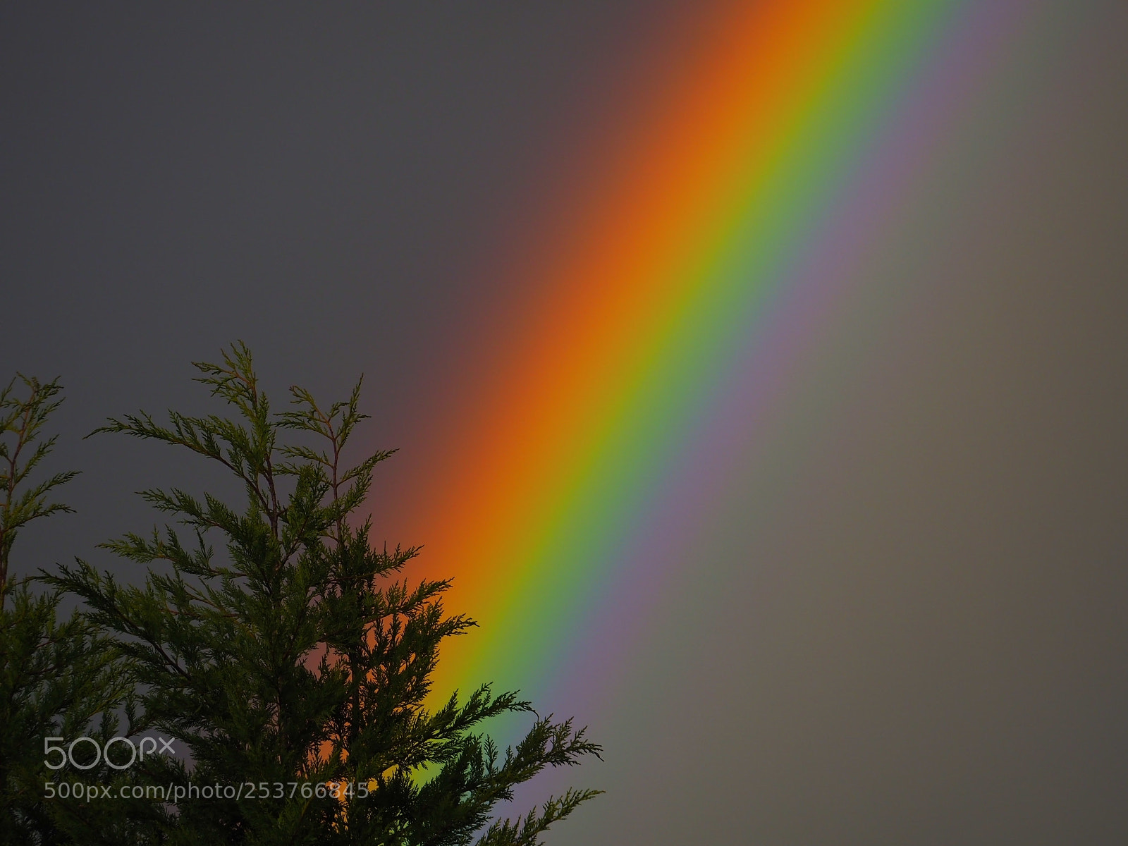 Olympus OM-D E-M10 sample photo. Rainbow of the day photography