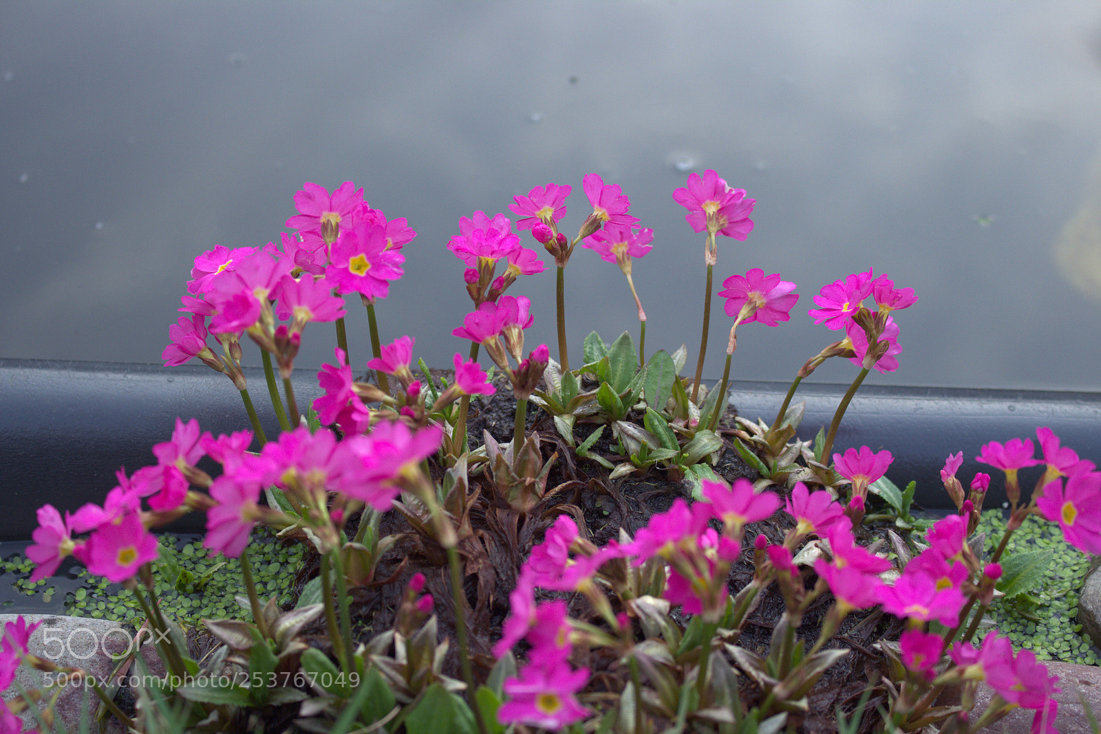 Canon EOS 700D (EOS Rebel T5i / EOS Kiss X7i) sample photo. Untitled photography