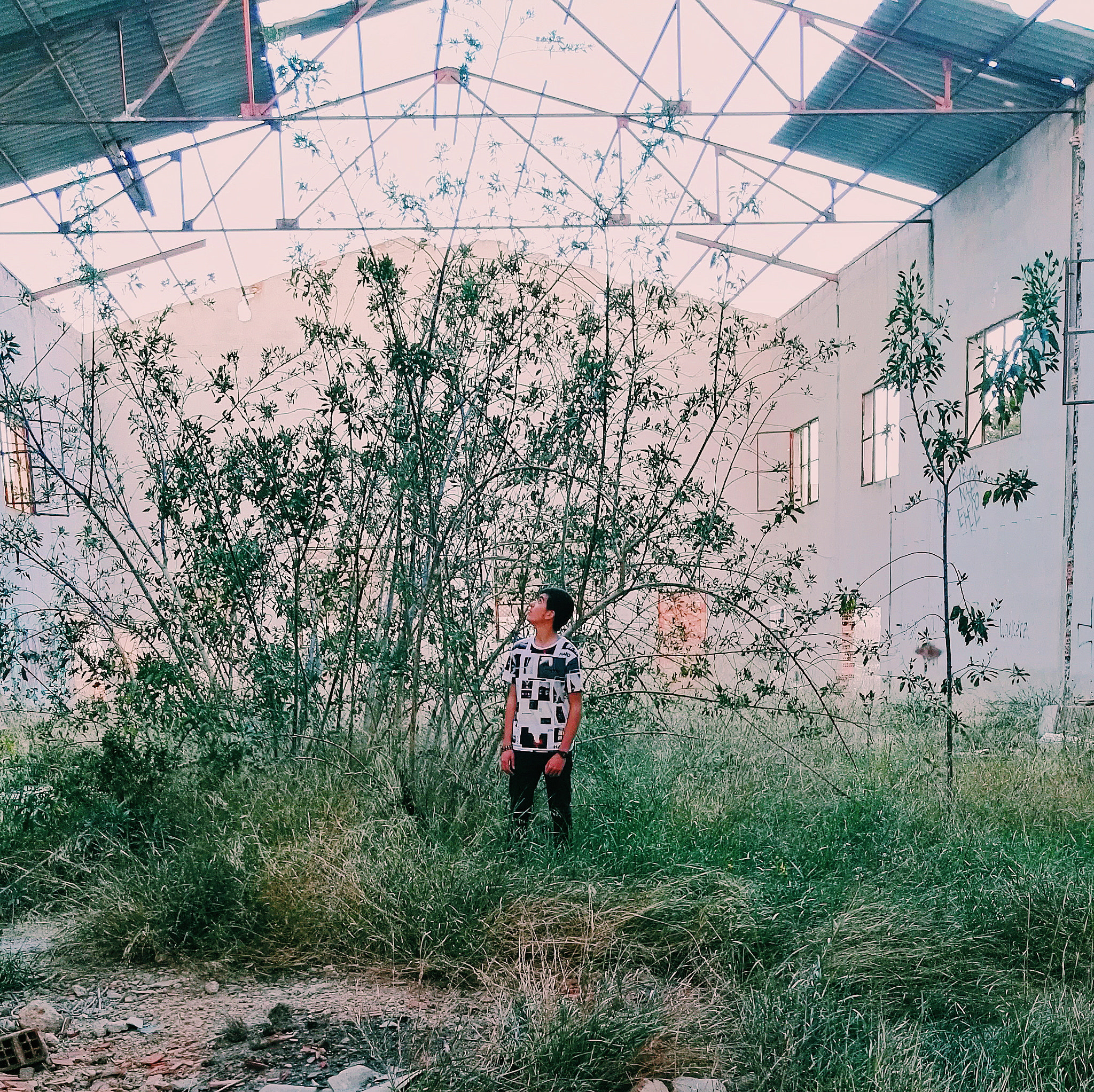 HUAWEI P8 sample photo