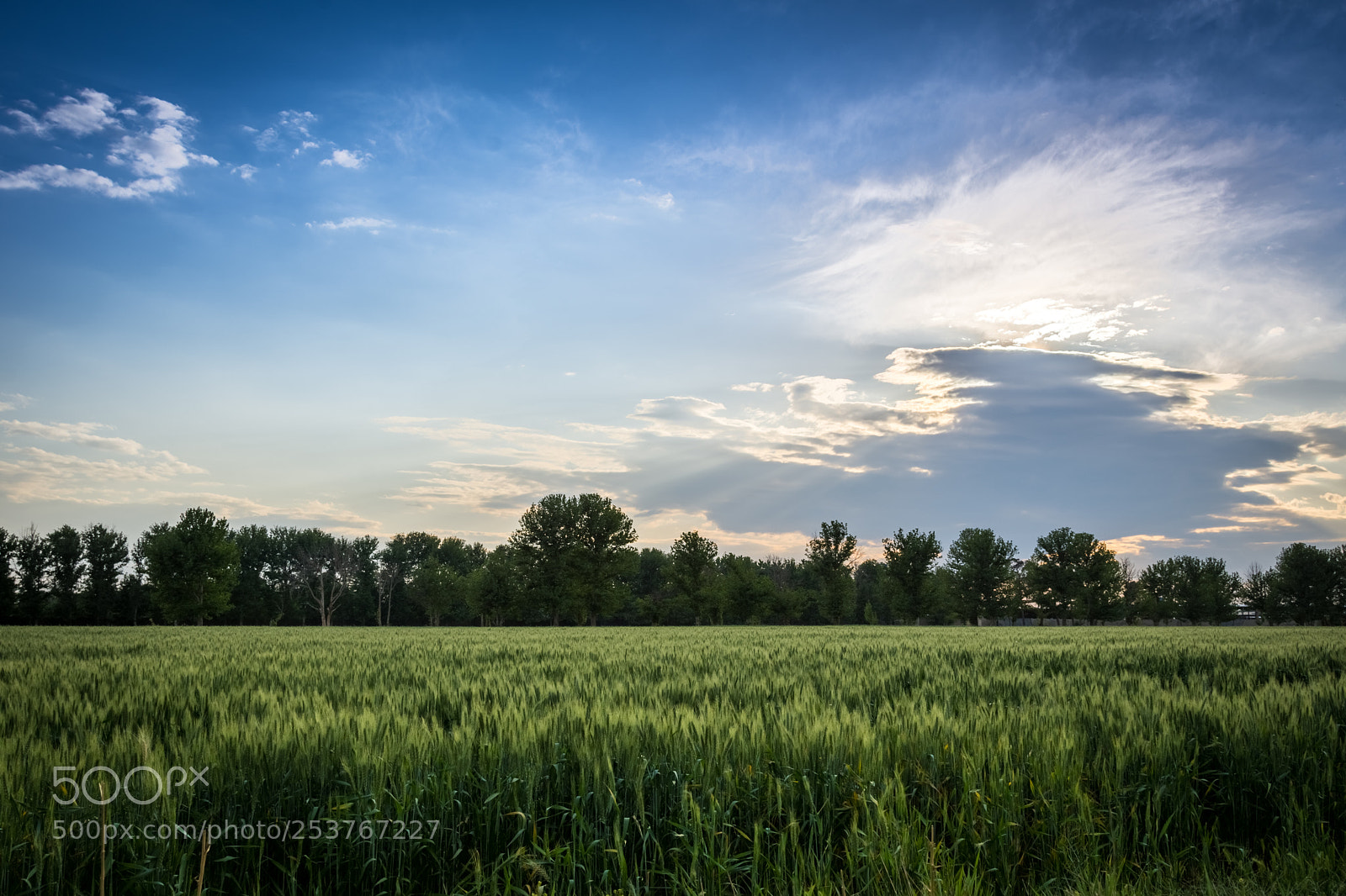 Nikon D7200 sample photo. Landscape photography