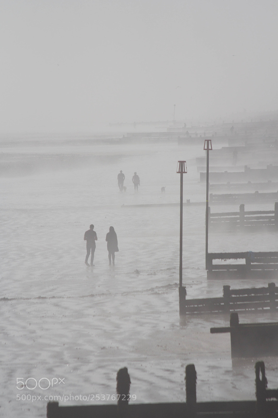 Canon EOS 60D sample photo. Walking in the fog... photography