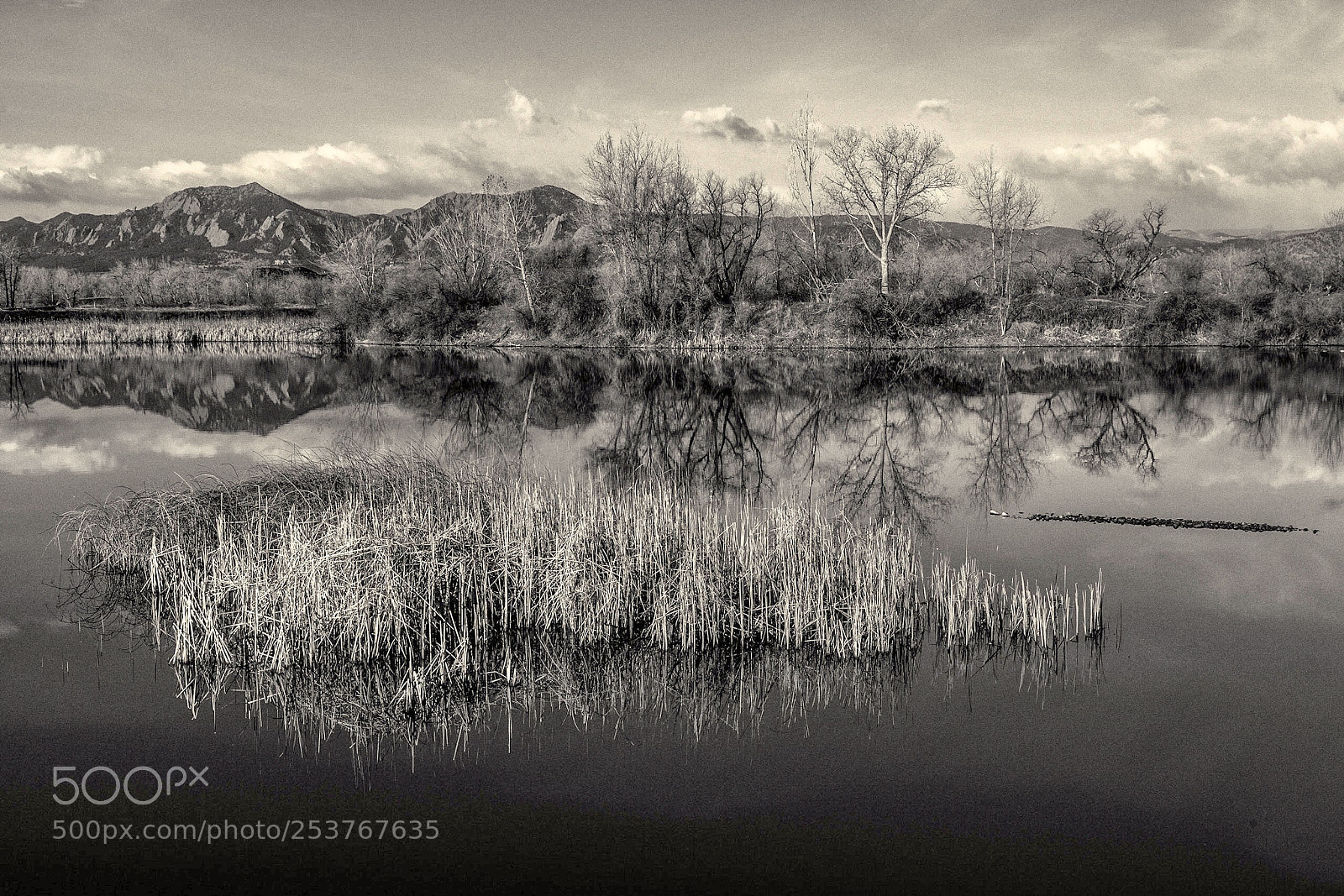 Canon EOS 5D Mark II sample photo. Walden ponds morning photography