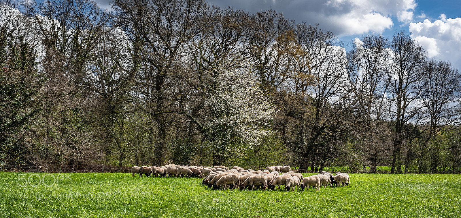 Nikon D810 sample photo. A nice day in photography
