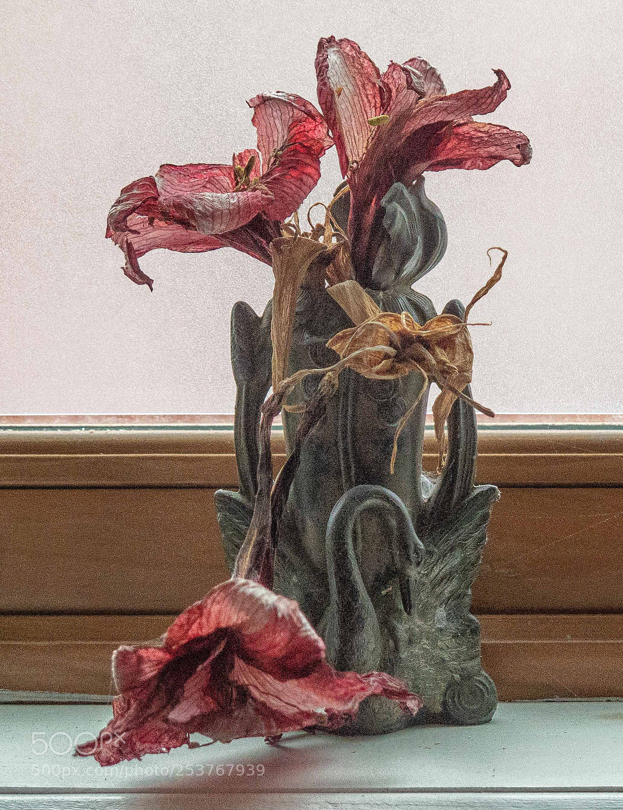Canon PowerShot G16 sample photo. Nature morte at marie-anne photography