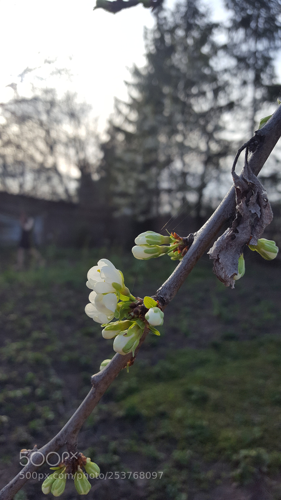 Samsung Galaxy S6 sample photo. New... photography