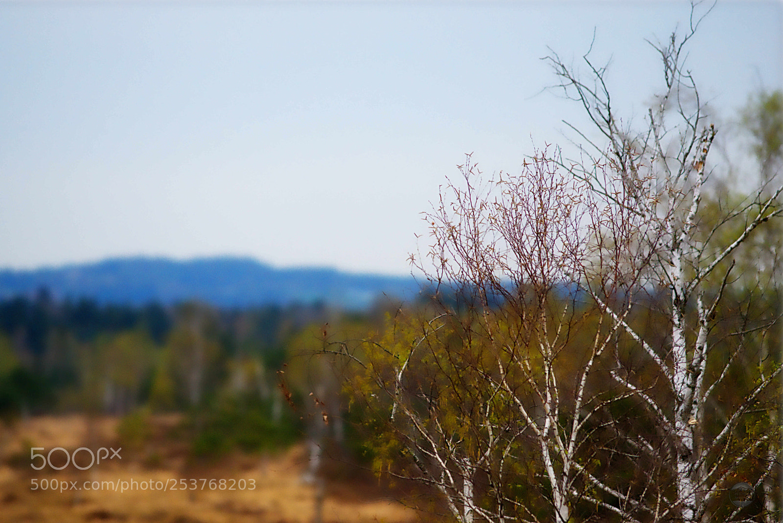 Sony ILCA-77M2 sample photo. Dsc3413 photography