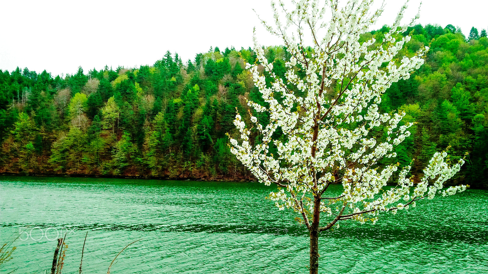 BlackBerry Z10 sample photo. Perfect getaway photography