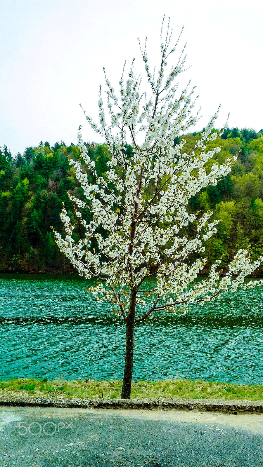 BlackBerry Z10 sample photo. Perfect getaway photography