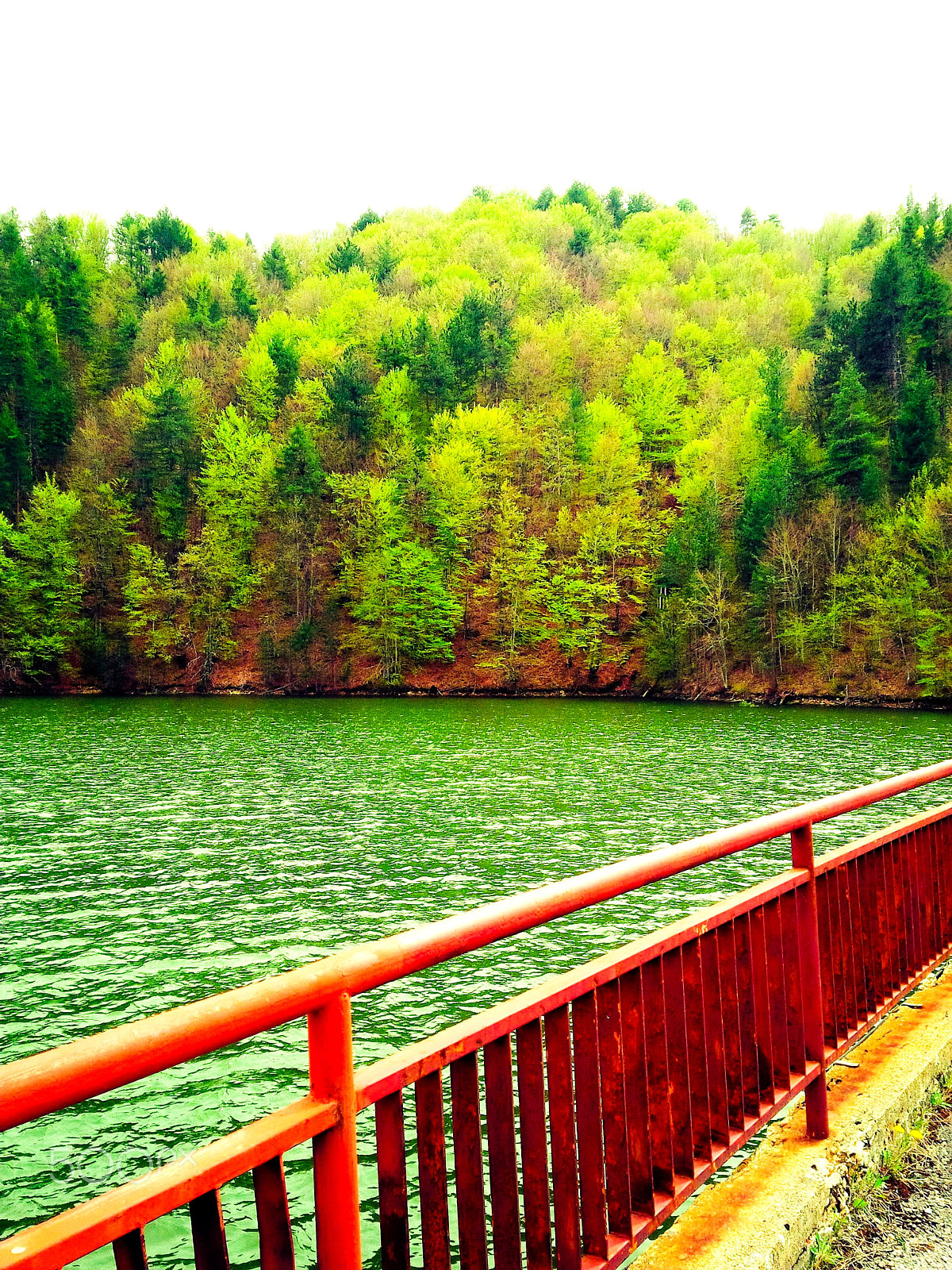 BlackBerry Z10 sample photo. Perfect getaway photography