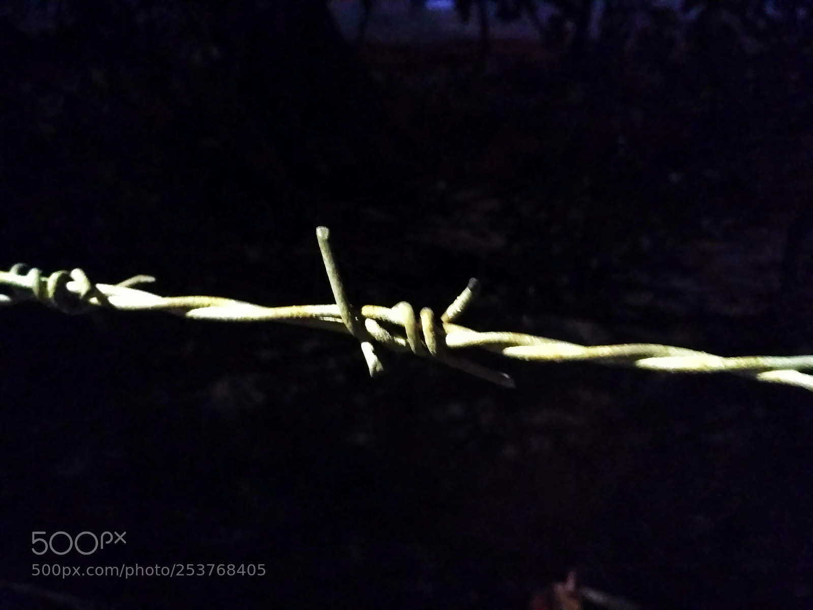 Xiaomi Redmi 3S sample photo. Untitled photography