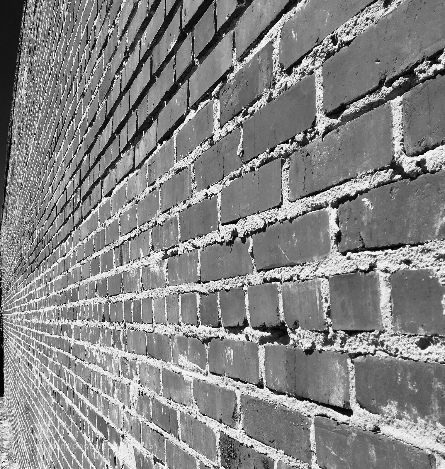 Apple iPhone 6s sample photo. Untitled photography