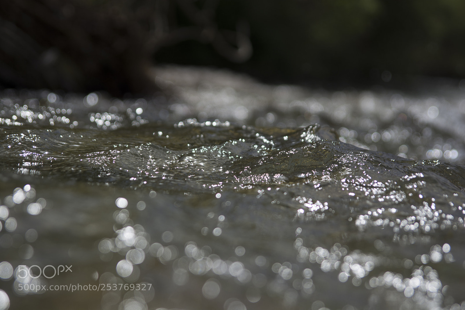 Nikon D7100 sample photo. Sound of life photography