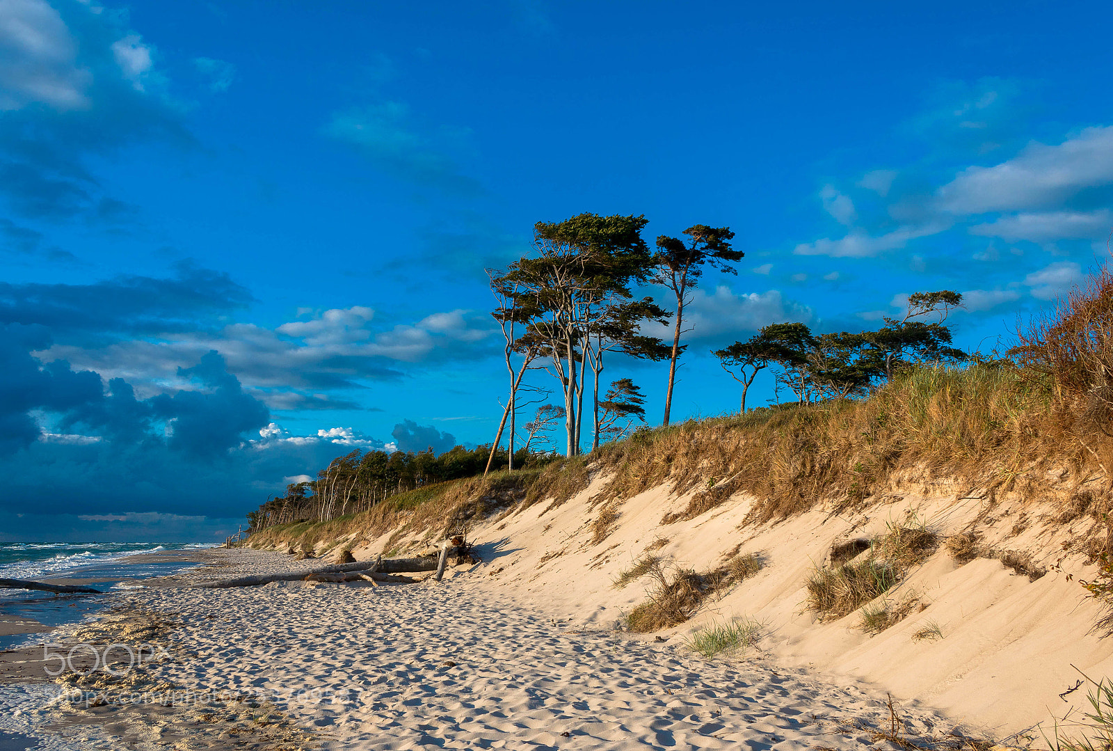 Canon EOS 70D sample photo. Weststrand photography