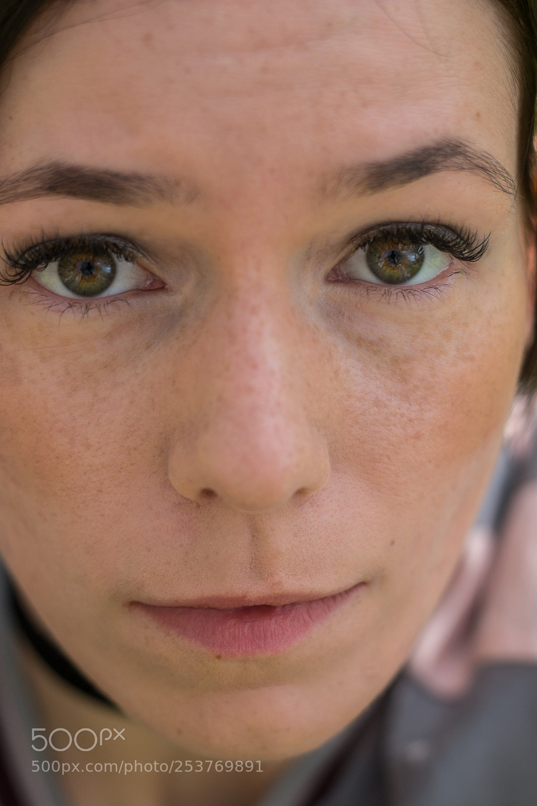 Canon EOS 70D sample photo. Close up photography