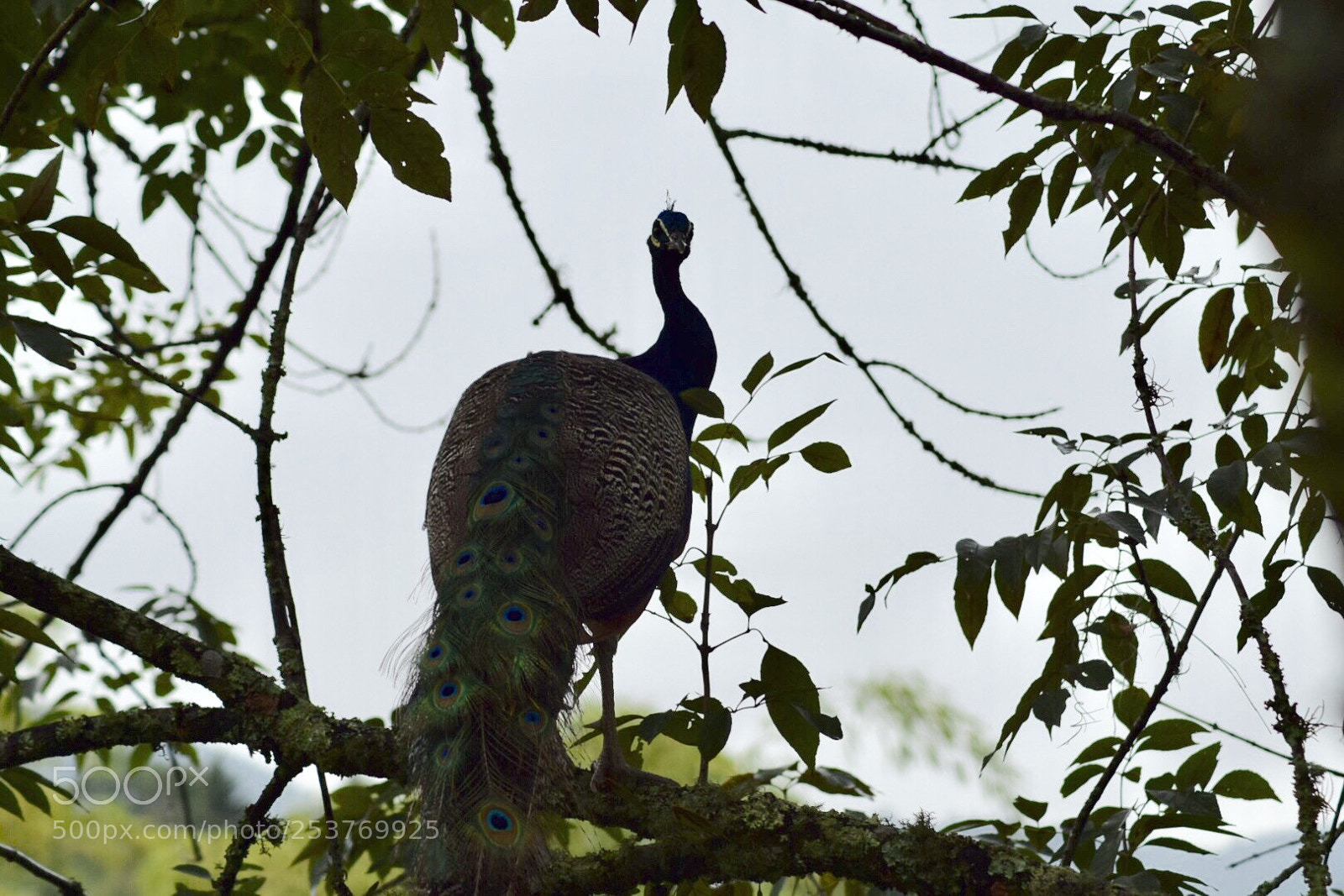 Nikon D5300 sample photo. Untitled photography