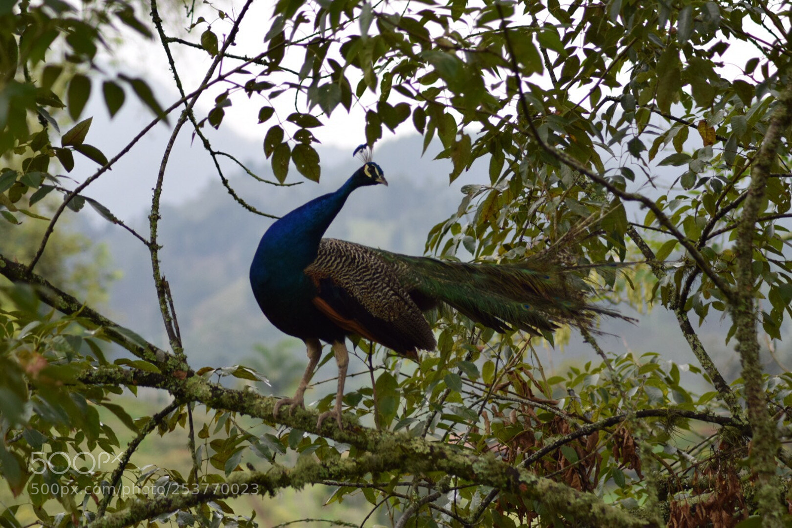Nikon D5300 sample photo. Untitled photography