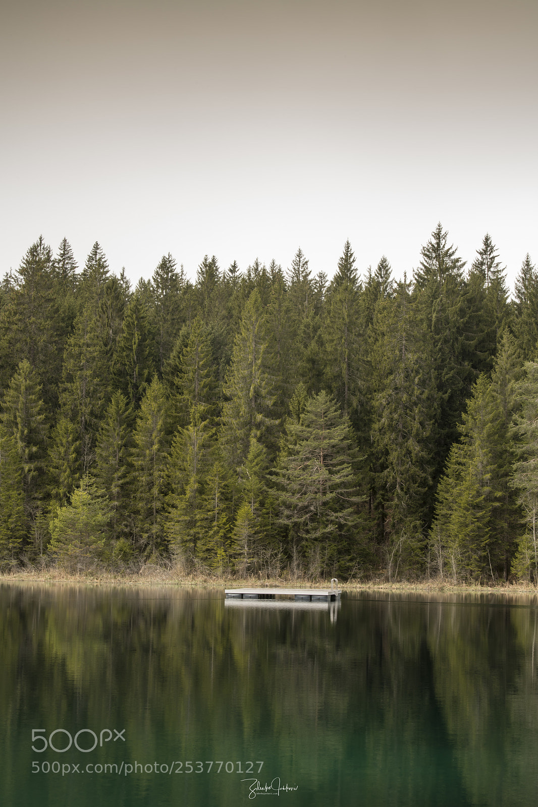 Nikon D850 sample photo. Crestasee photography