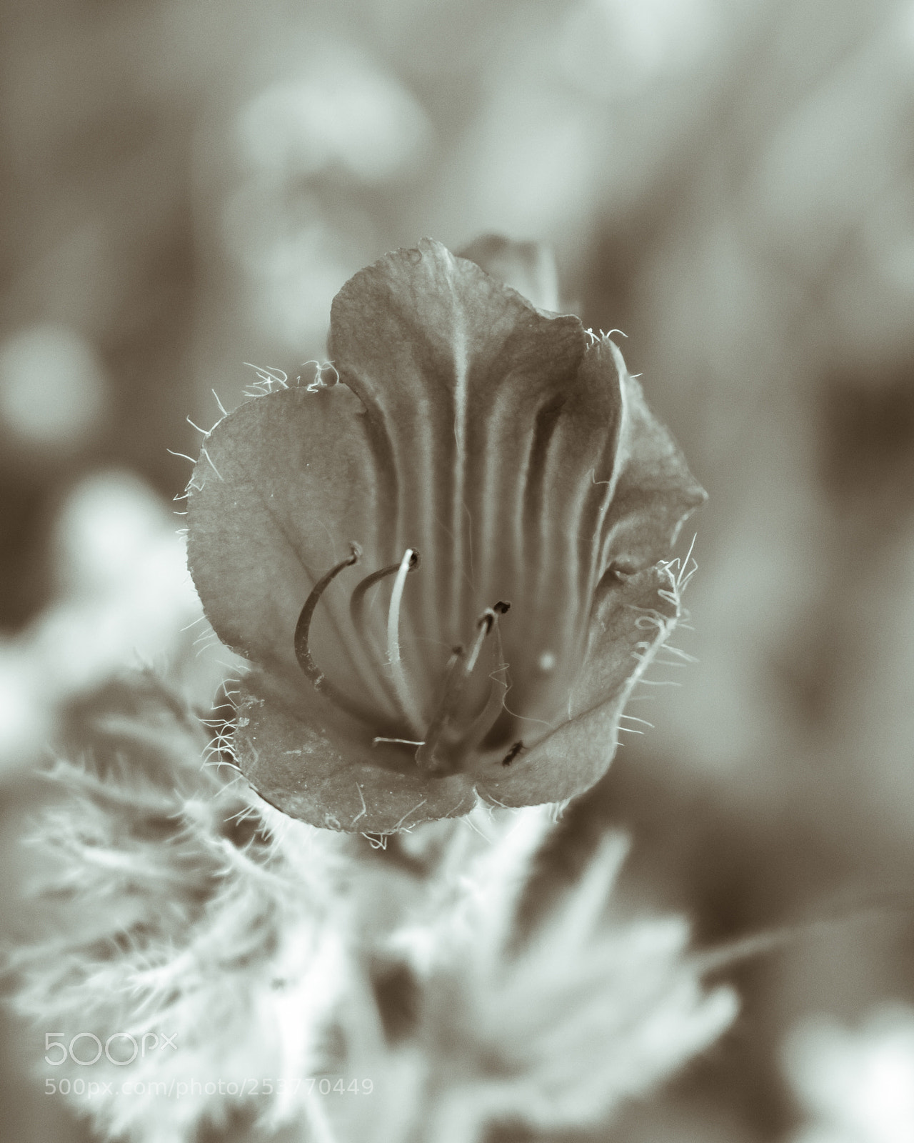 Canon EOS 750D (EOS Rebel T6i / EOS Kiss X8i) sample photo. Retro love photography