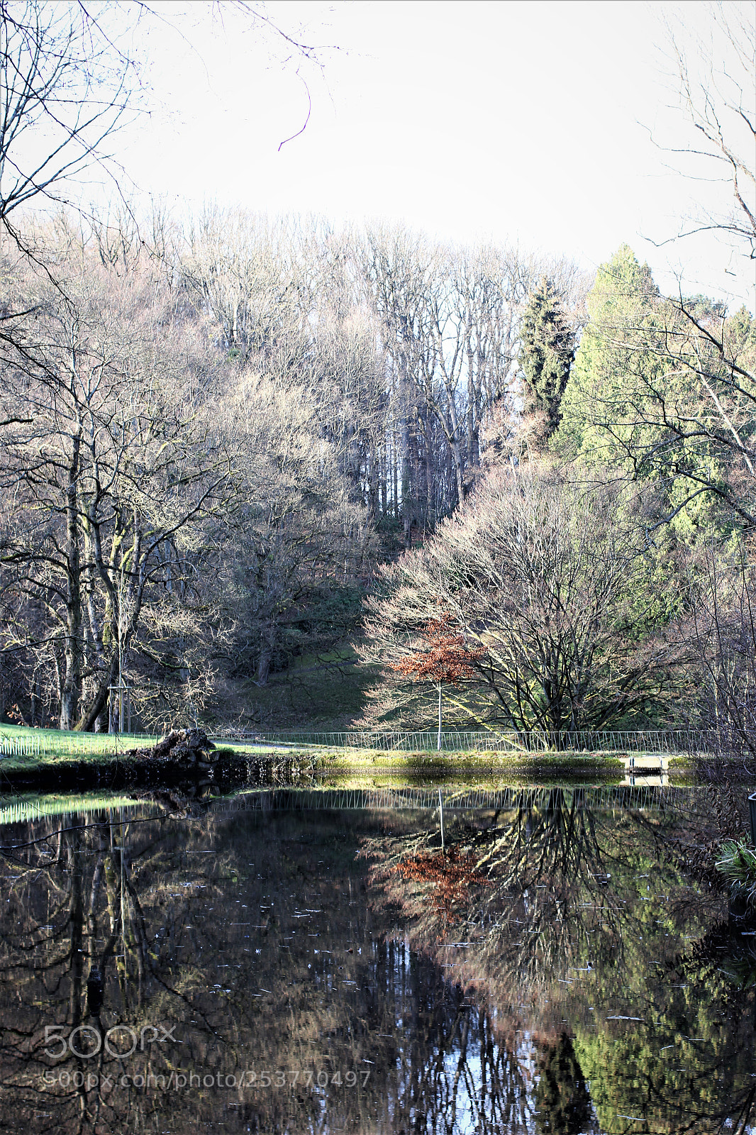 Canon EOS 60D sample photo. Baden baden photography
