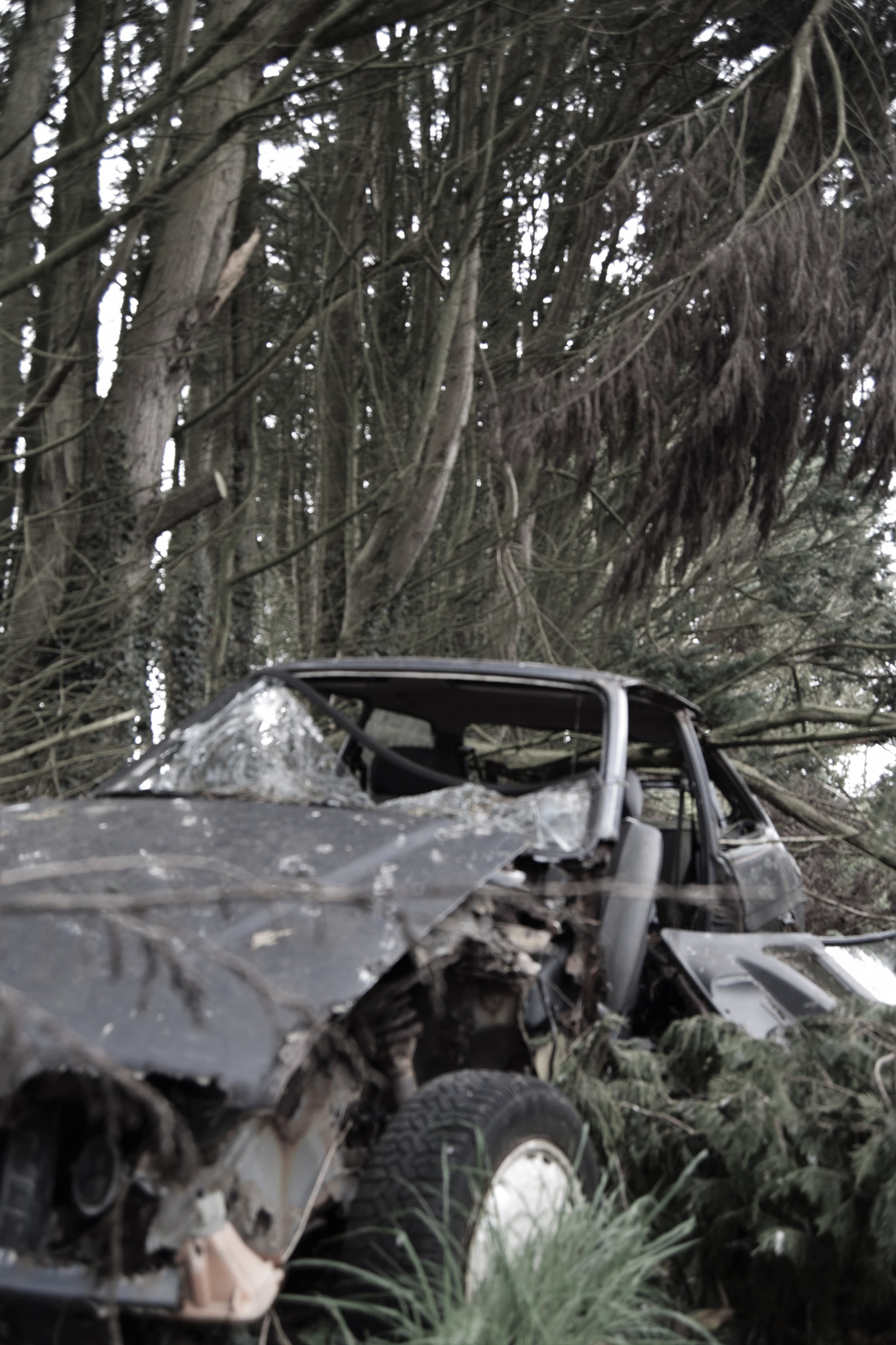 Nikon D3300 sample photo. Forsaken place photography